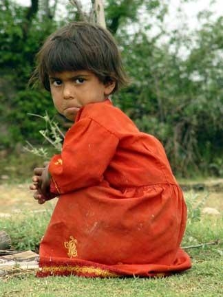 Photo #1858, photographer Mansour Nasiri - documentary photography